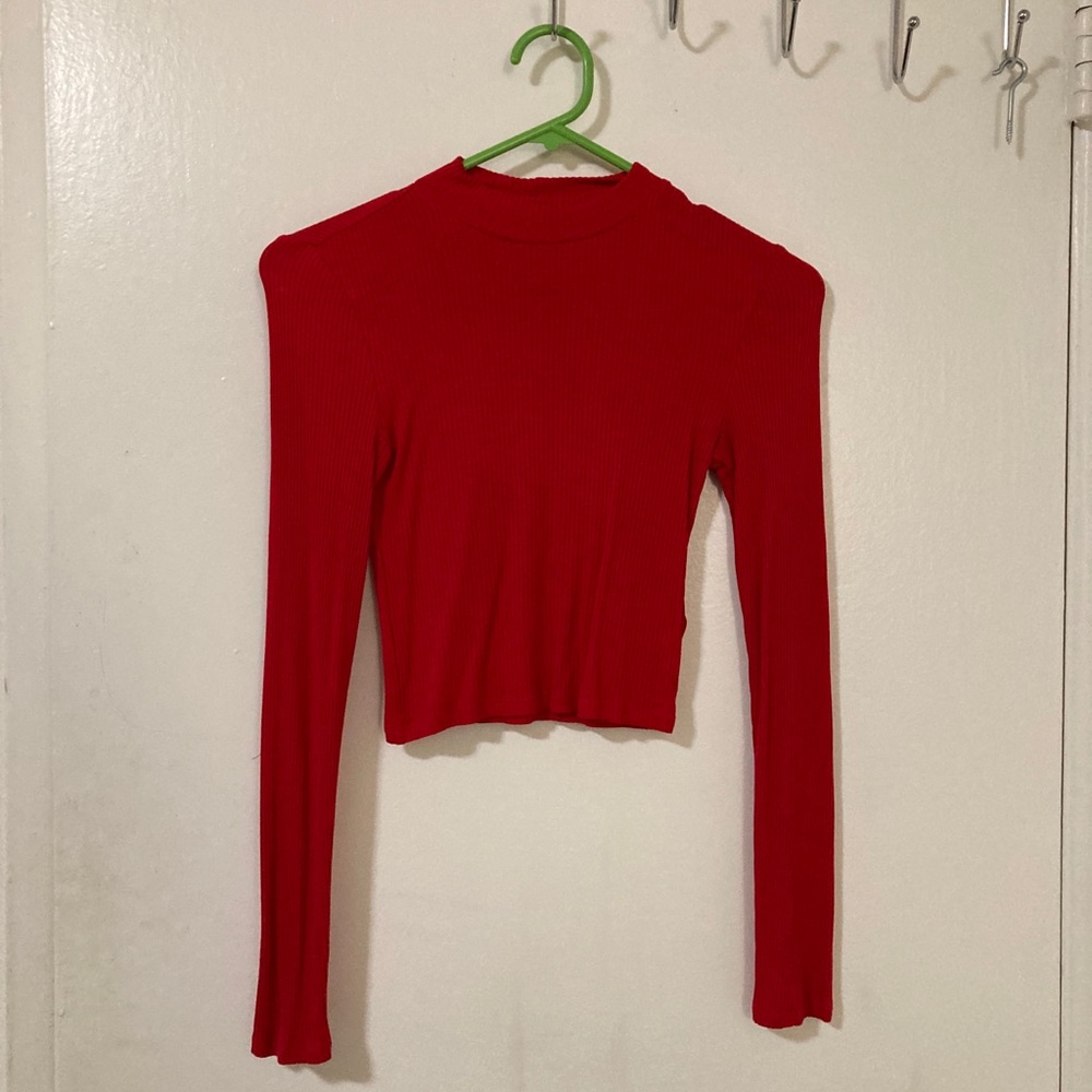 Long sleeve crop top